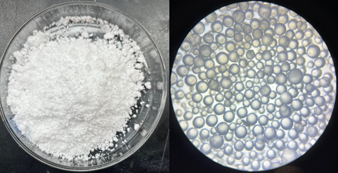 beat365在线体育app