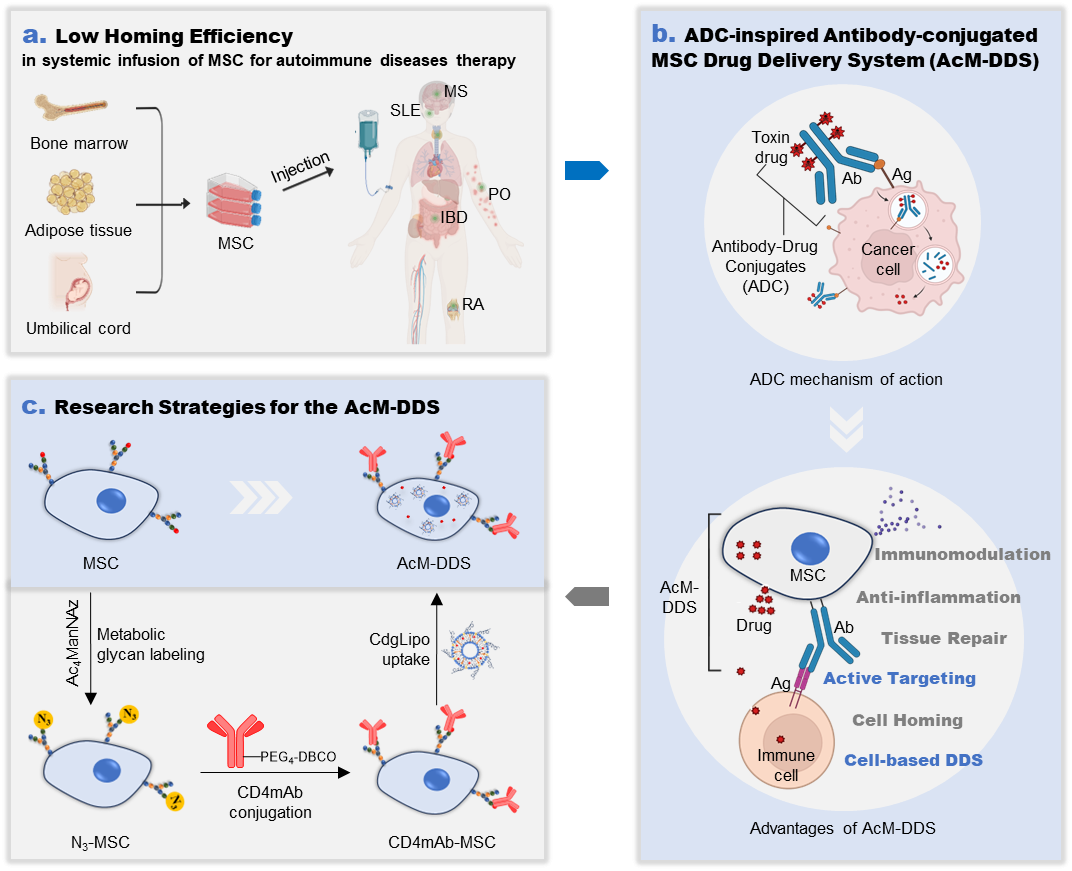 beat365在线体育app