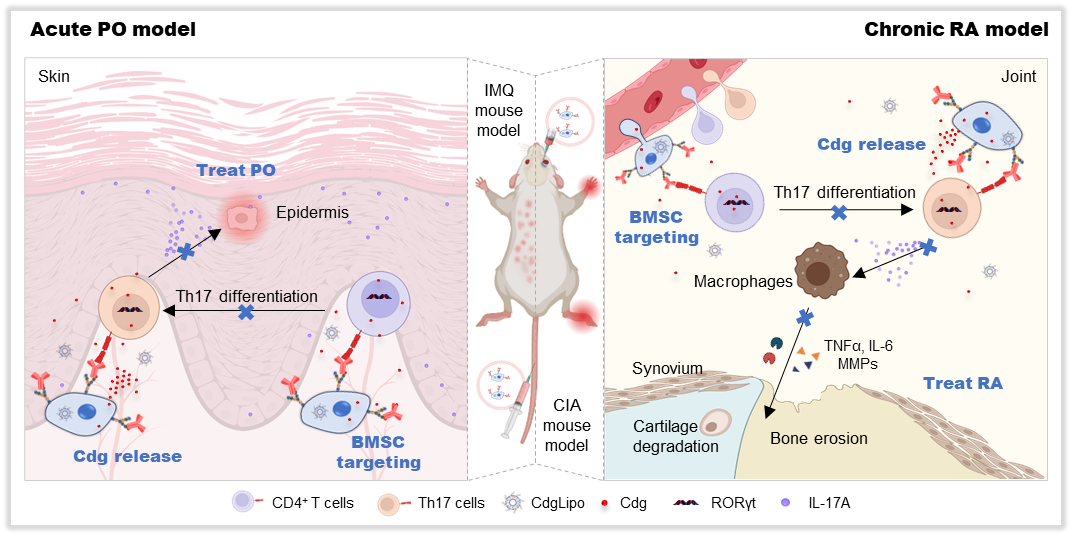 beat365在线体育app