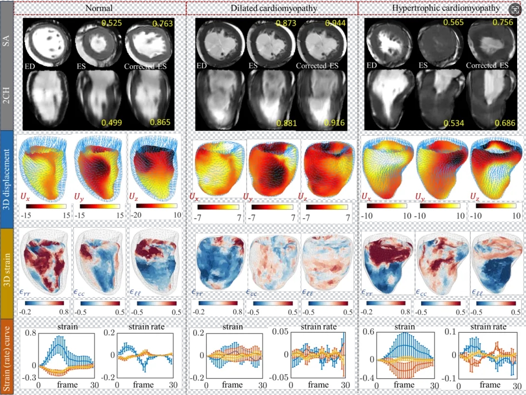 beat365在线体育app