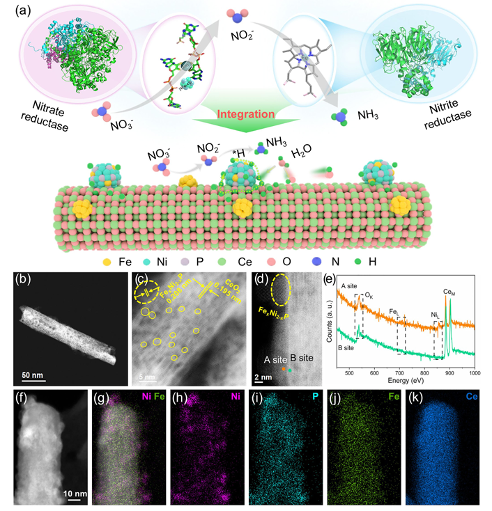 beat365在线体育app