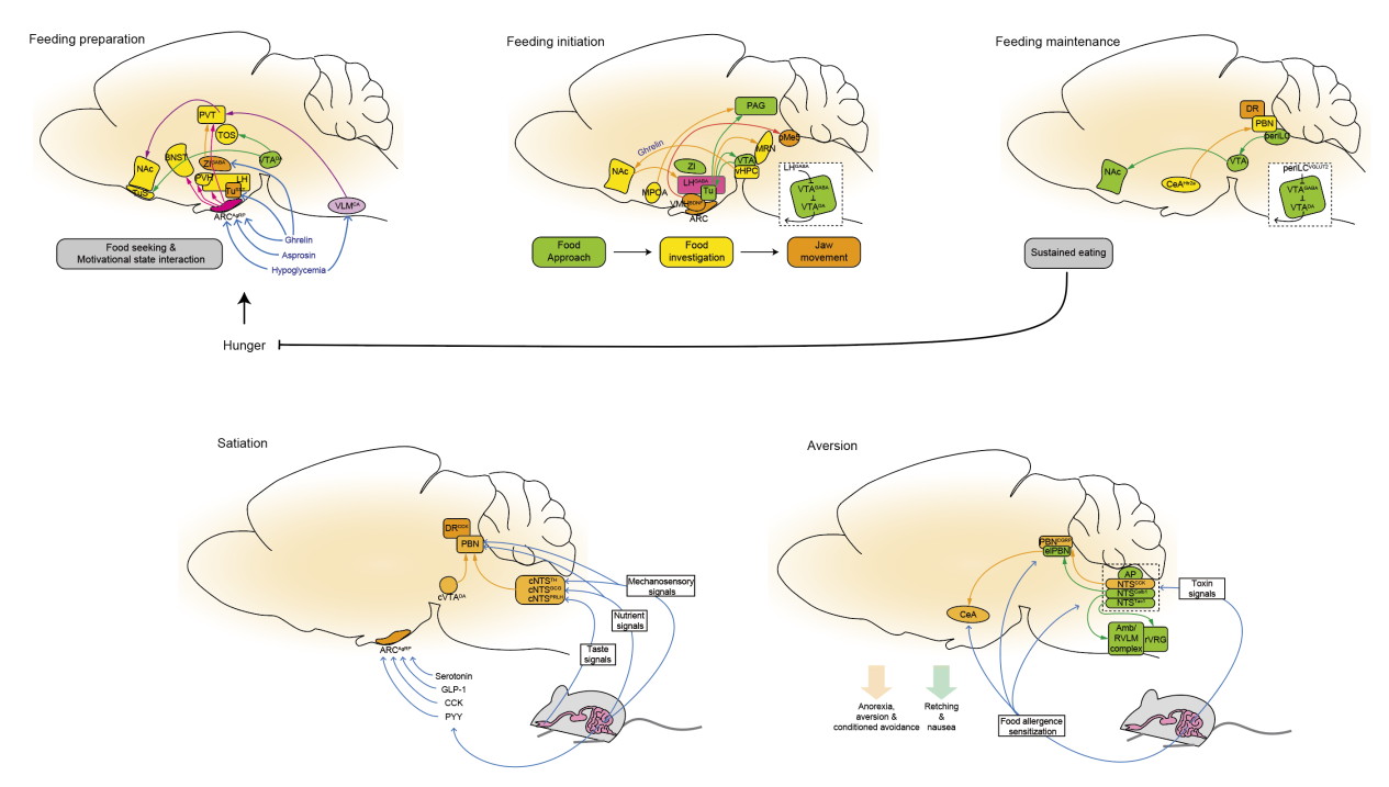 beat365在线体育app