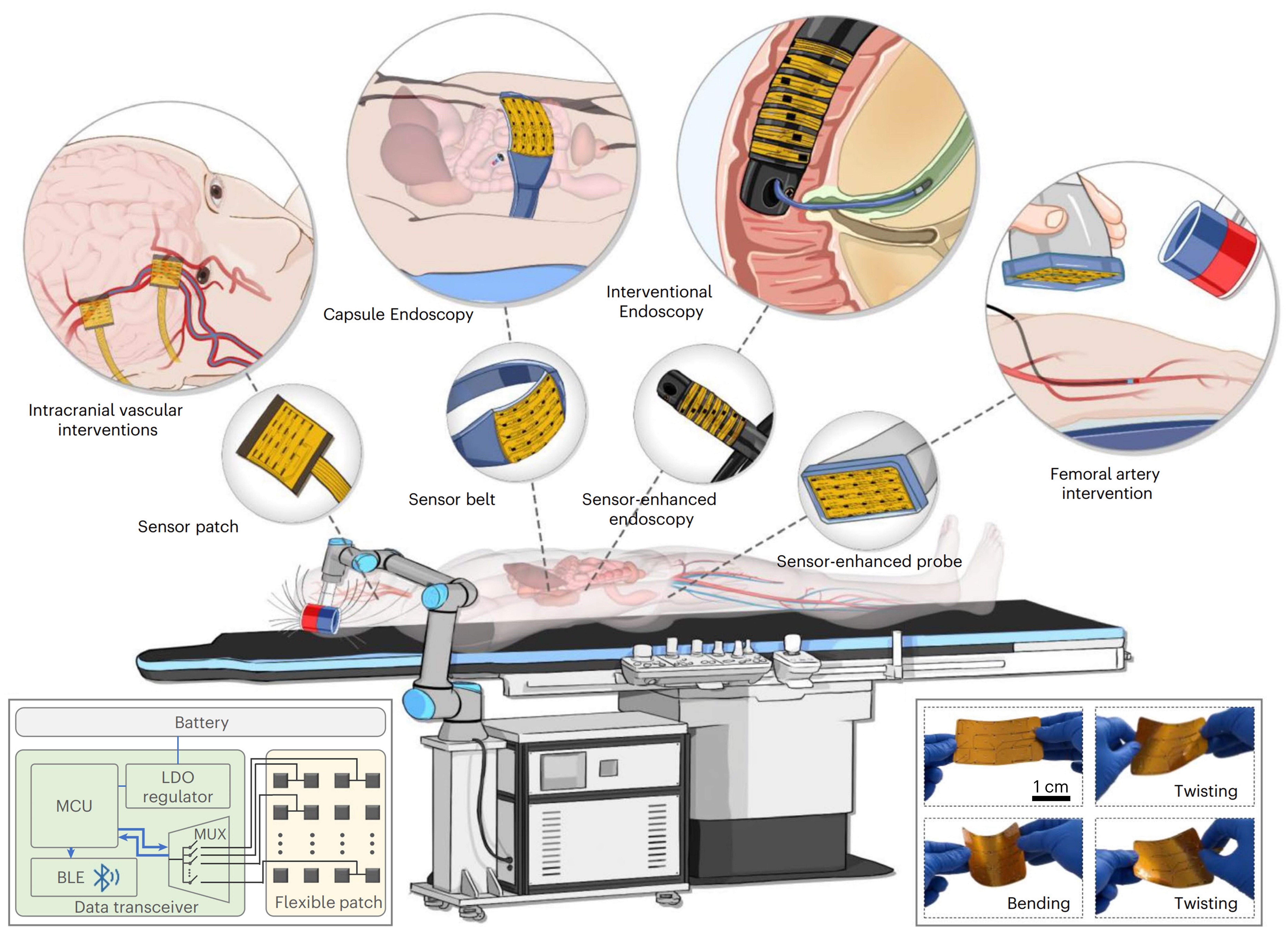 beat365在线体育app