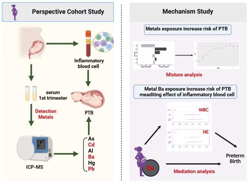 beat365在线体育app