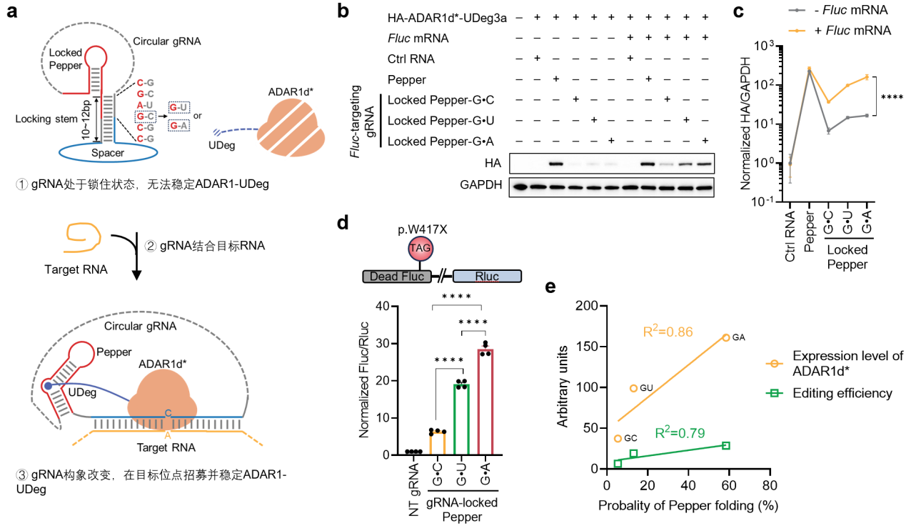 beat365在线体育app