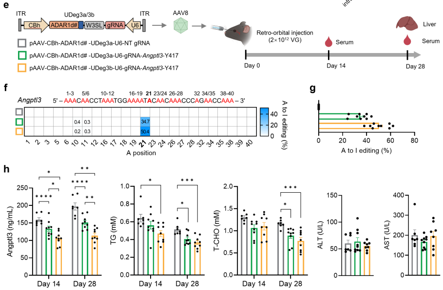 beat365在线体育app