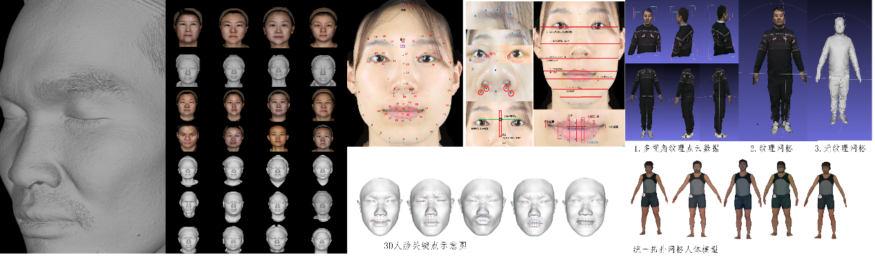 beat365在线体育app