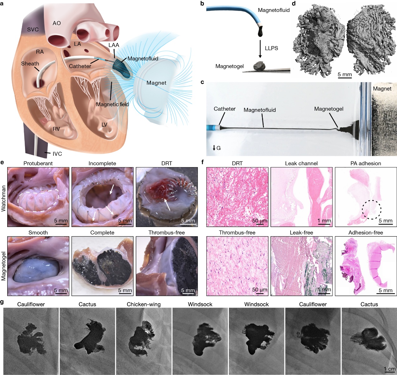 beat365在线体育app