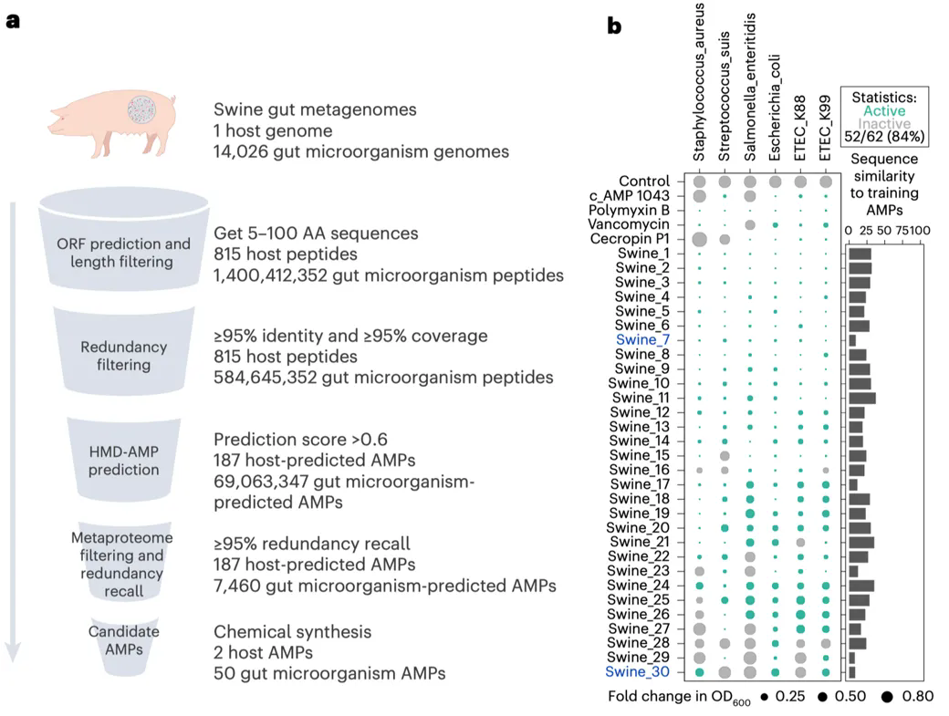beat365在线体育app