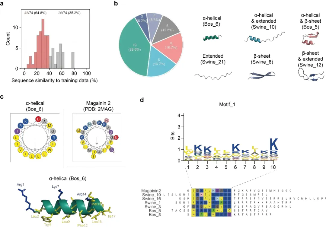 beat365在线体育app