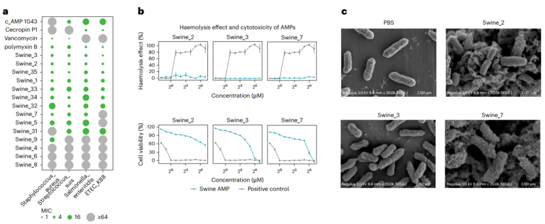 beat365在线体育app