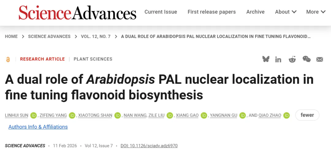 beat365在线体育app