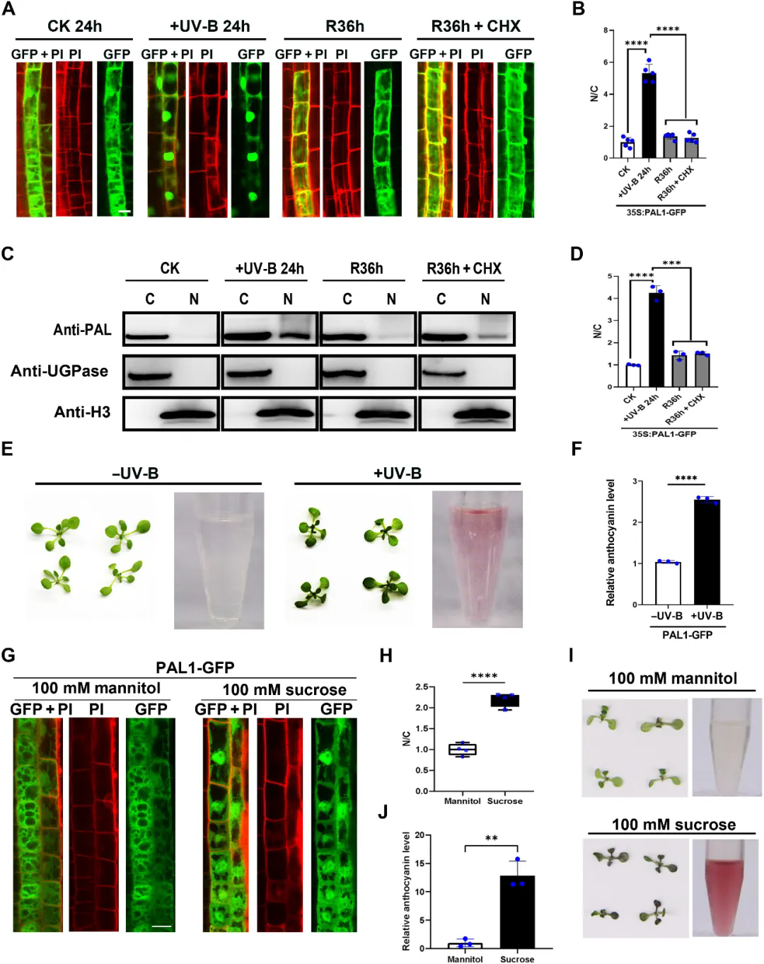 beat365在线体育app