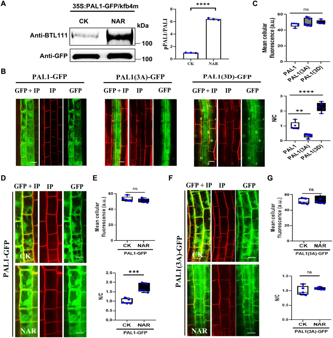 beat365在线体育app