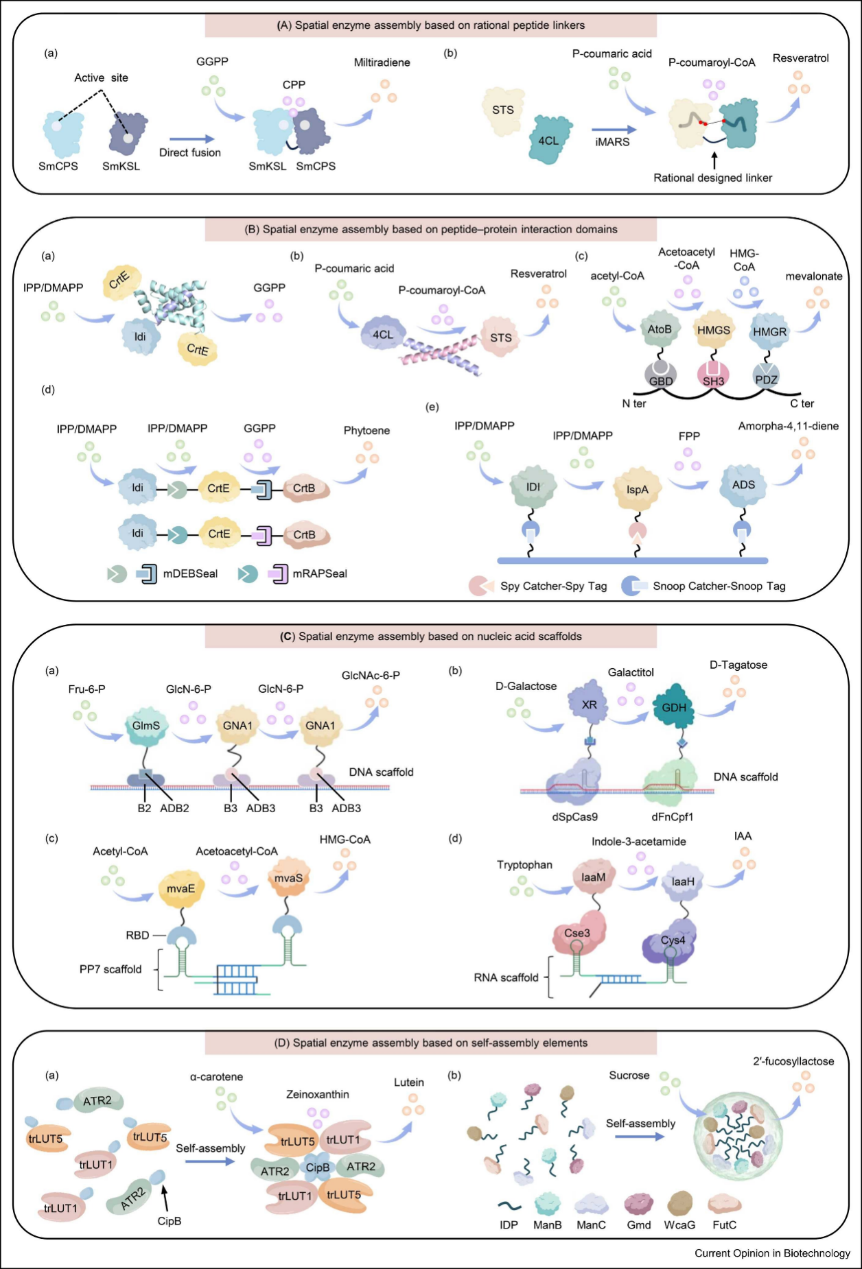 beat365在线体育app