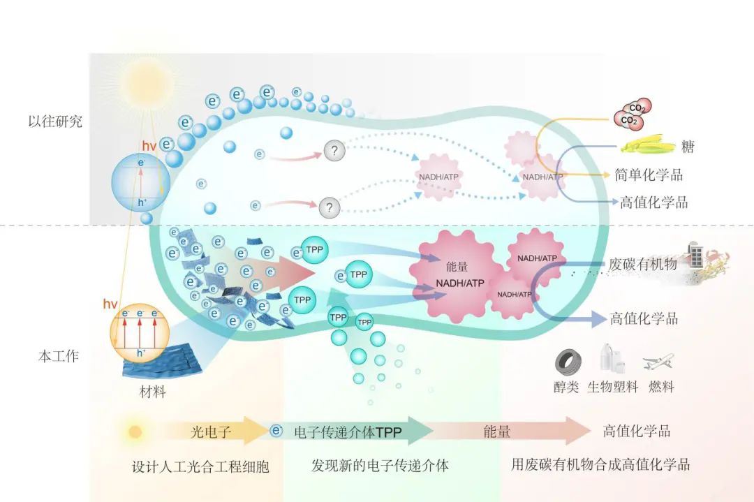 beat365在线体育app