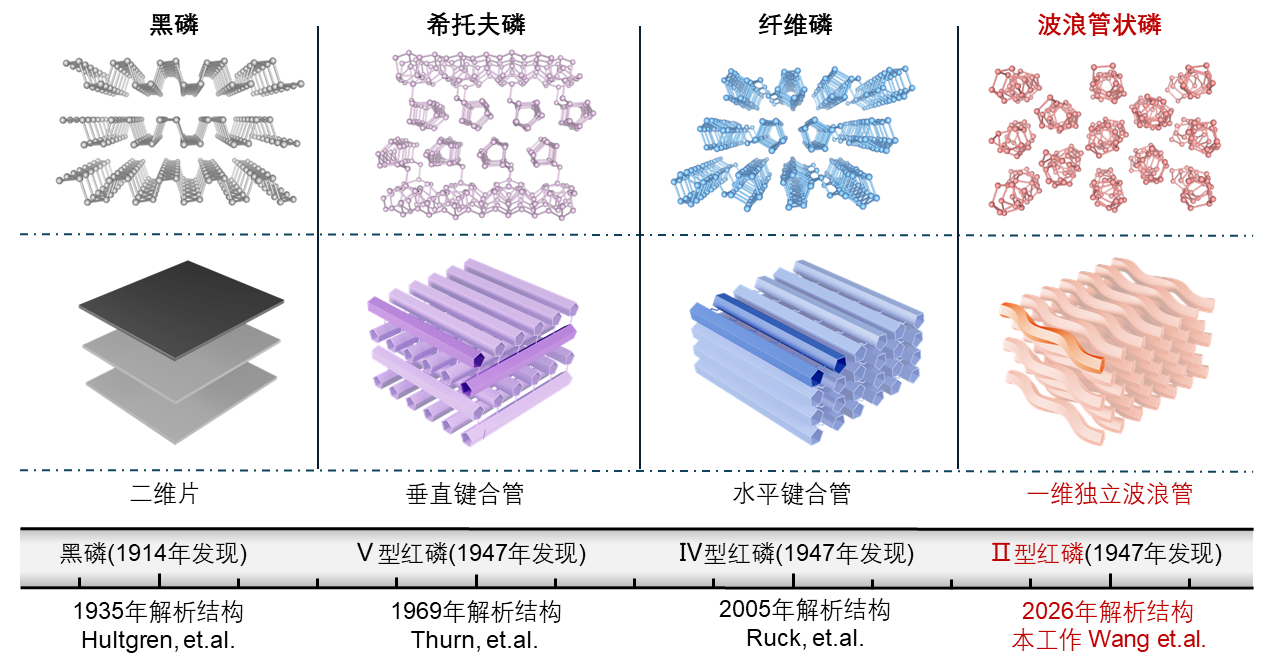 beat365在线体育app