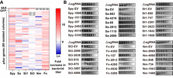 beat365在线体育app