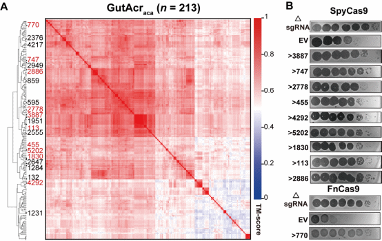 beat365在线体育app