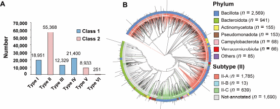 beat365在线体育app