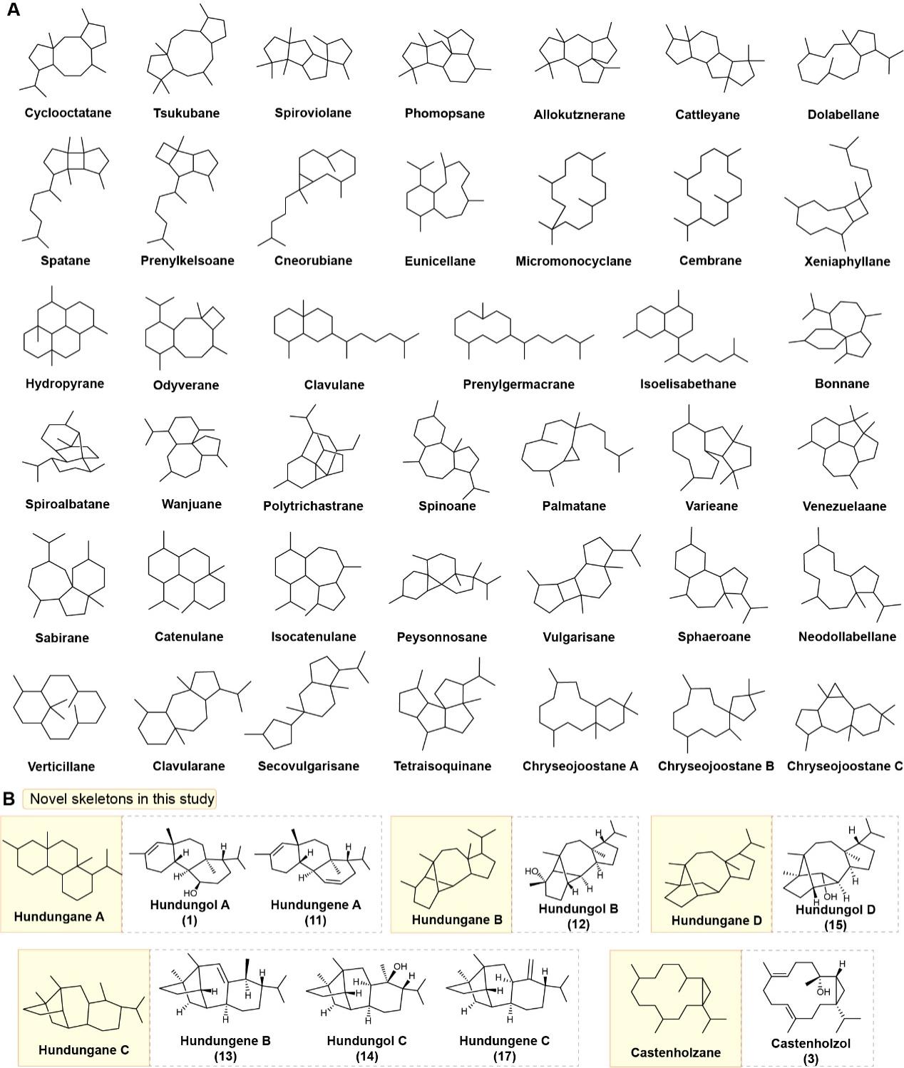 beat365在线体育app