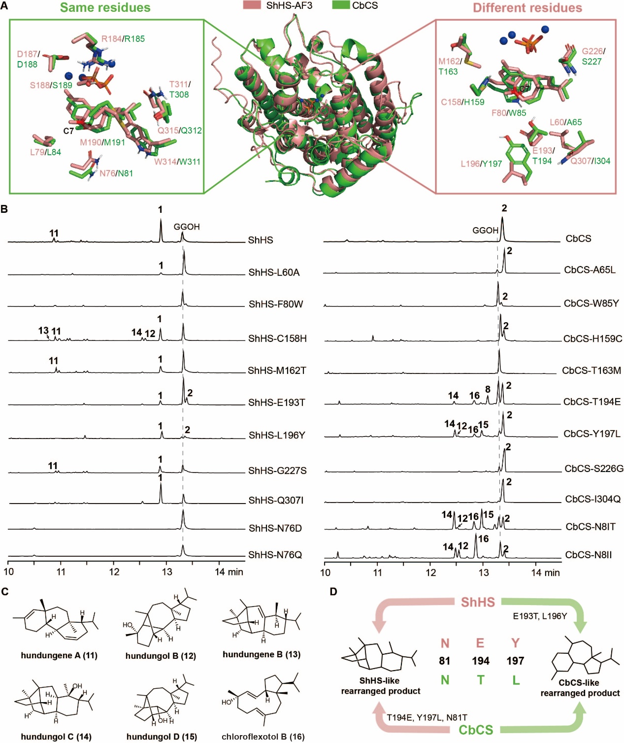 beat365在线体育app