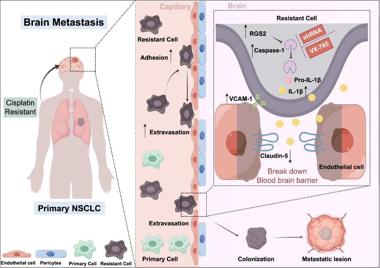 beat365在线体育app