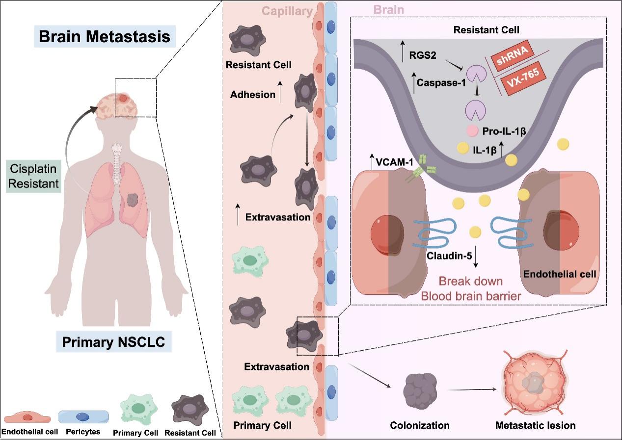 beat365在线体育app