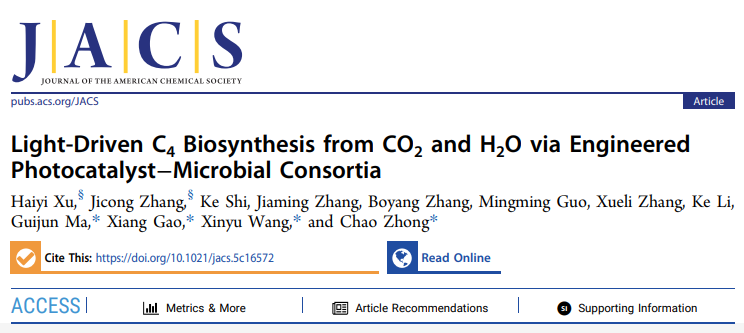 beat365在线体育app