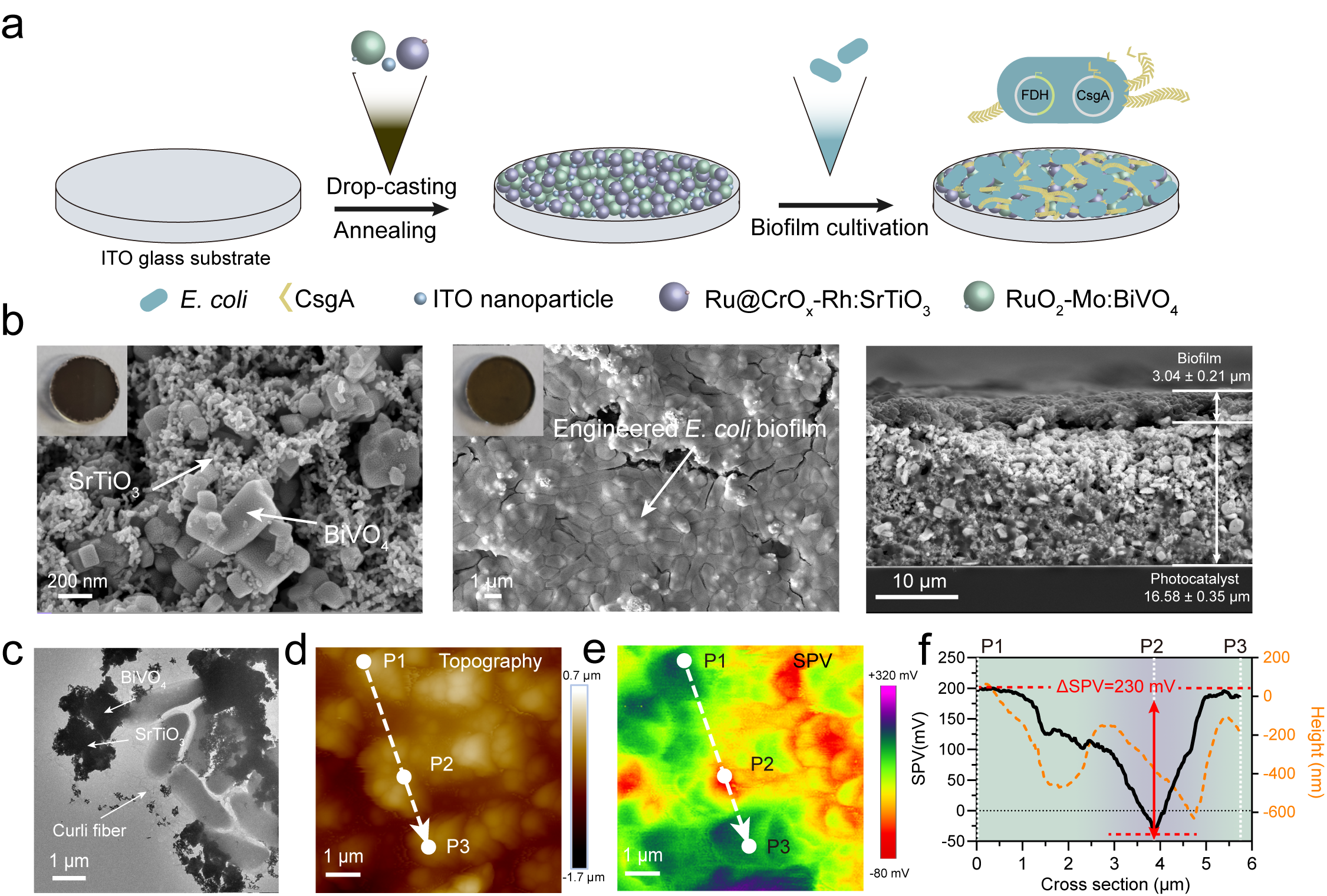 beat365在线体育app