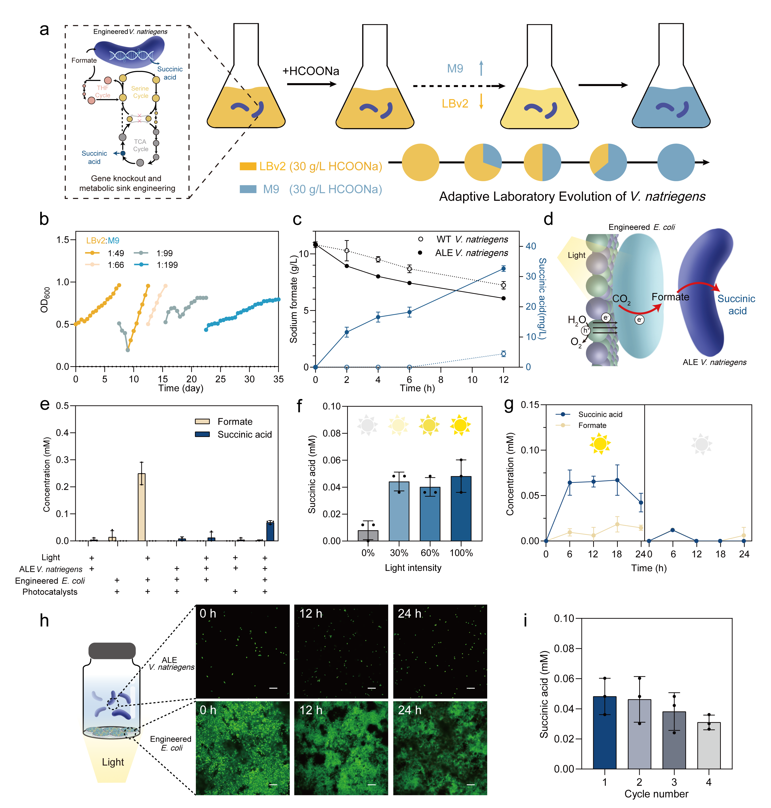 beat365在线体育app