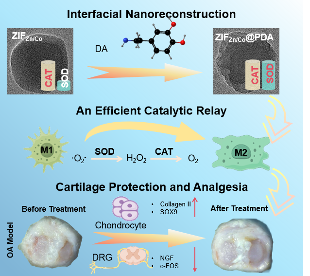 beat365在线体育app