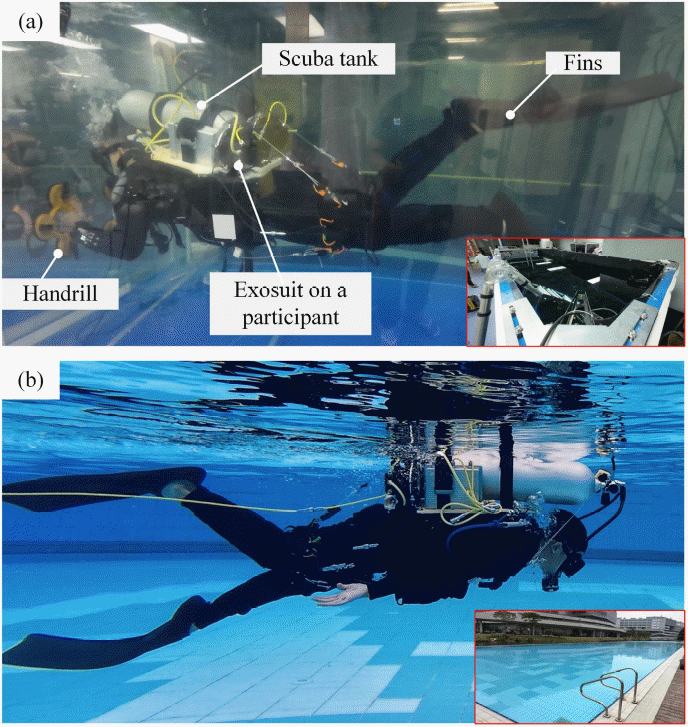 beat365在线体育app