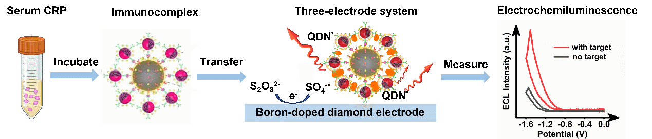 beat365在线体育app