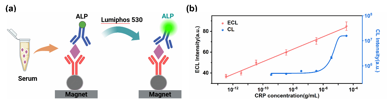 beat365在线体育app