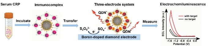 beat365在线体育app
