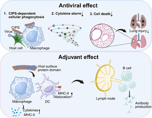 beat365在线体育app