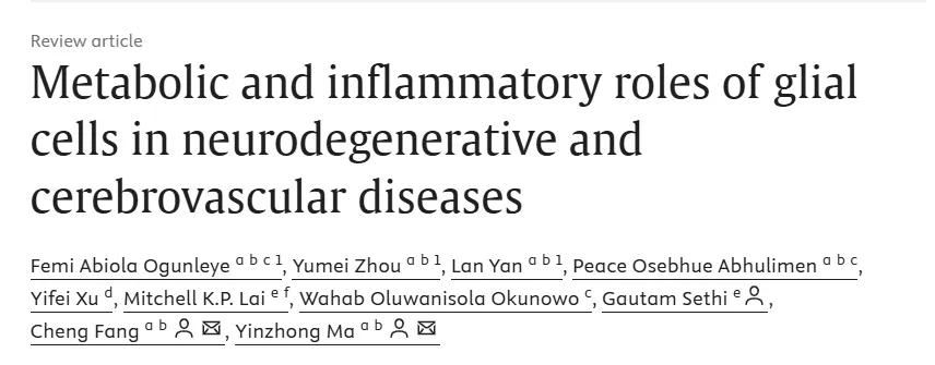 beat365在线体育app