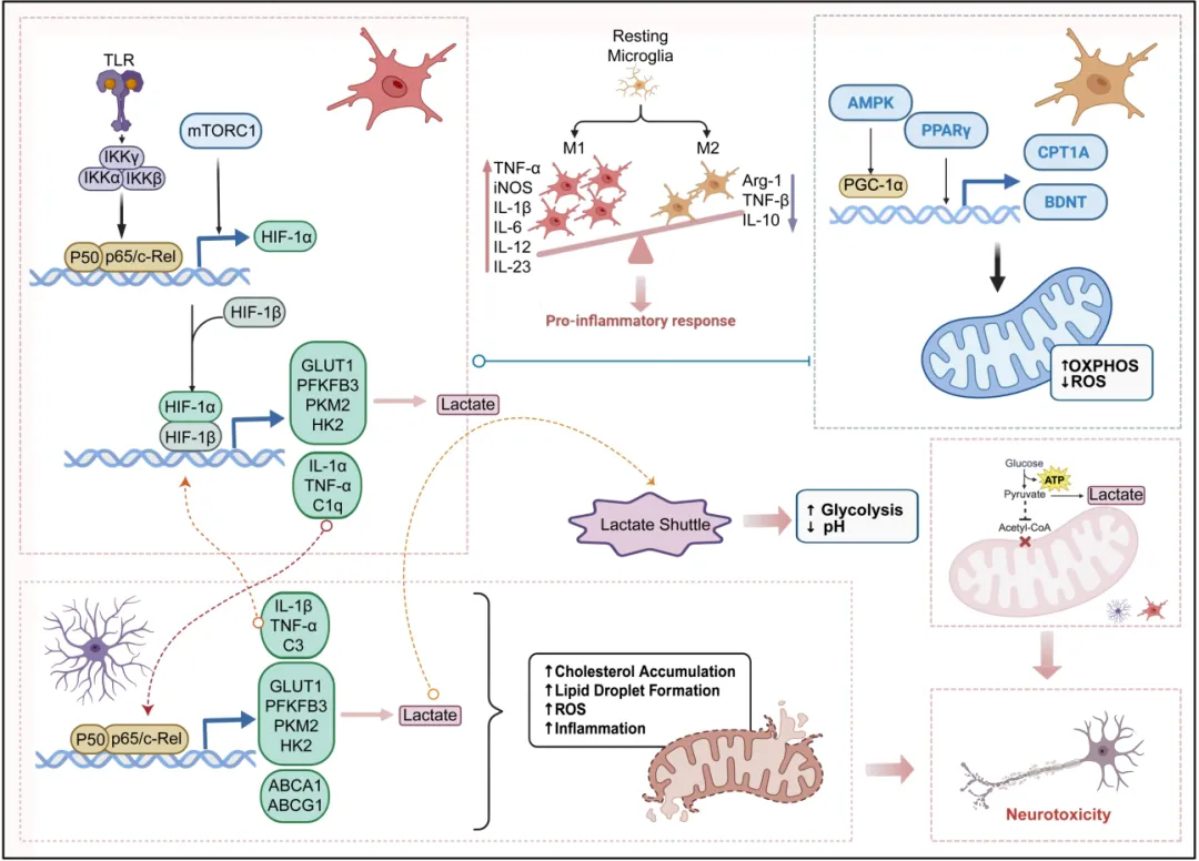 beat365在线体育app