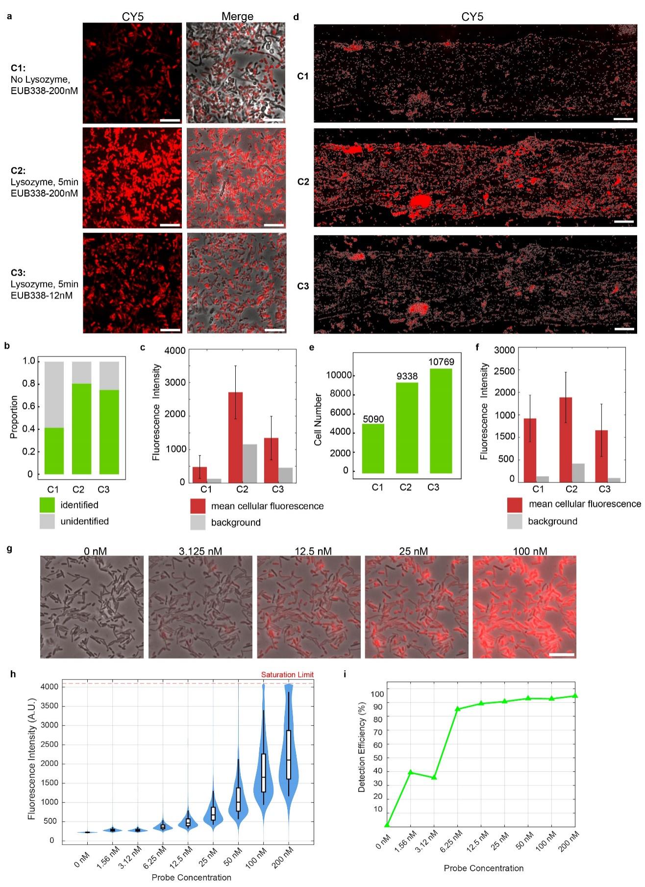 beat365在线体育app