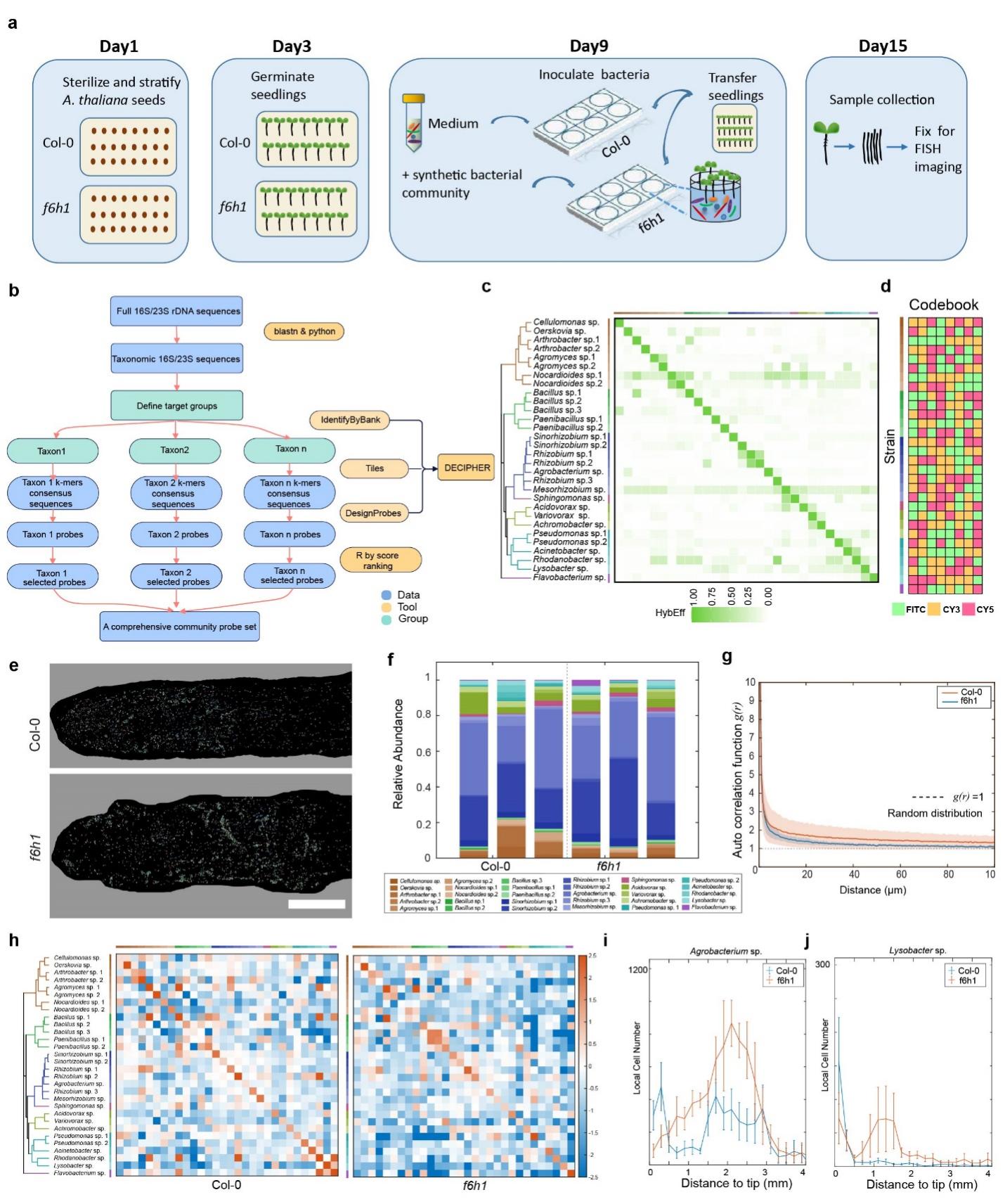 beat365在线体育app