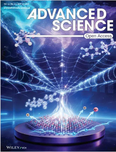 beat365在线体育app