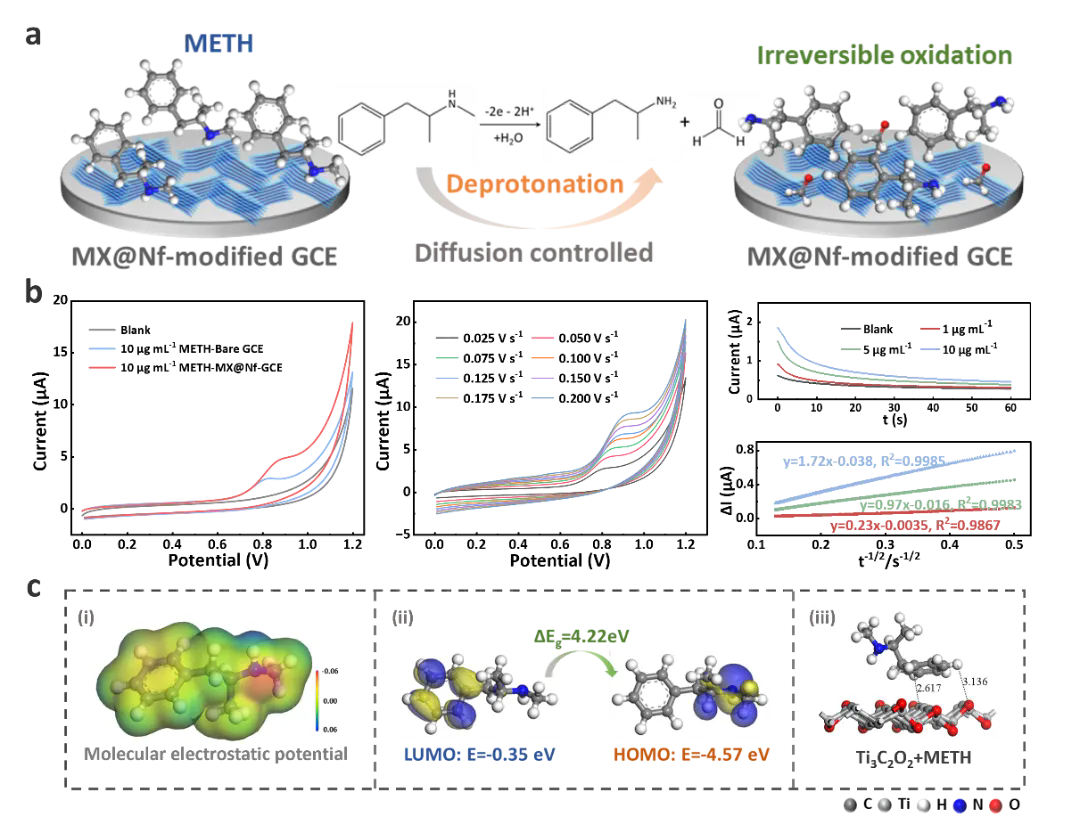 beat365在线体育app