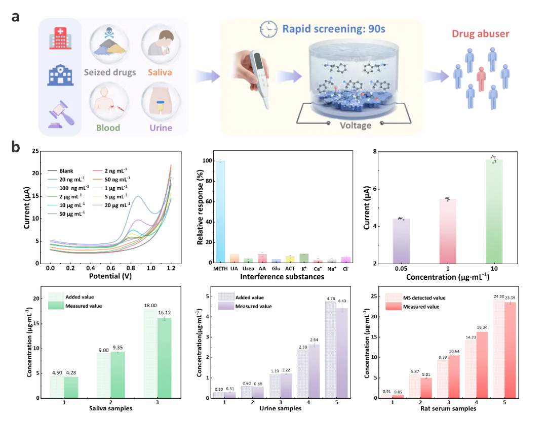 beat365在线体育app