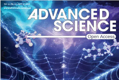 beat365在线体育app