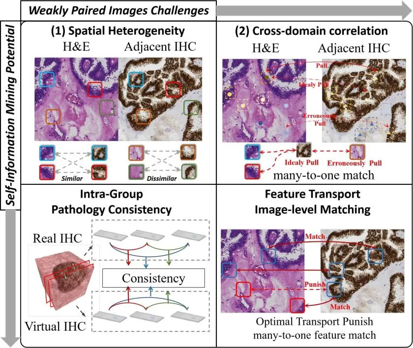 beat365在线体育app