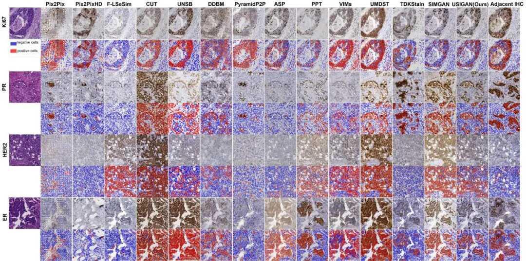 beat365在线体育app