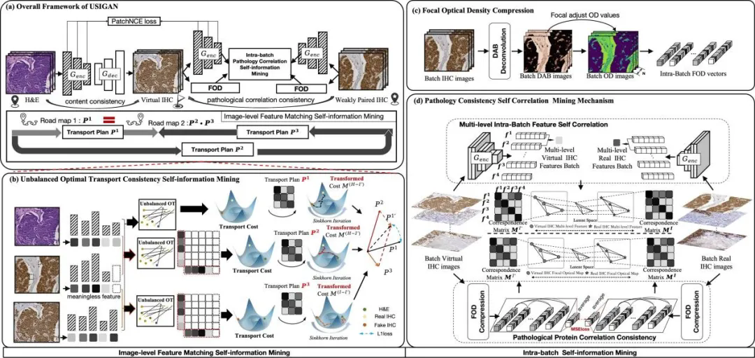 beat365在线体育app