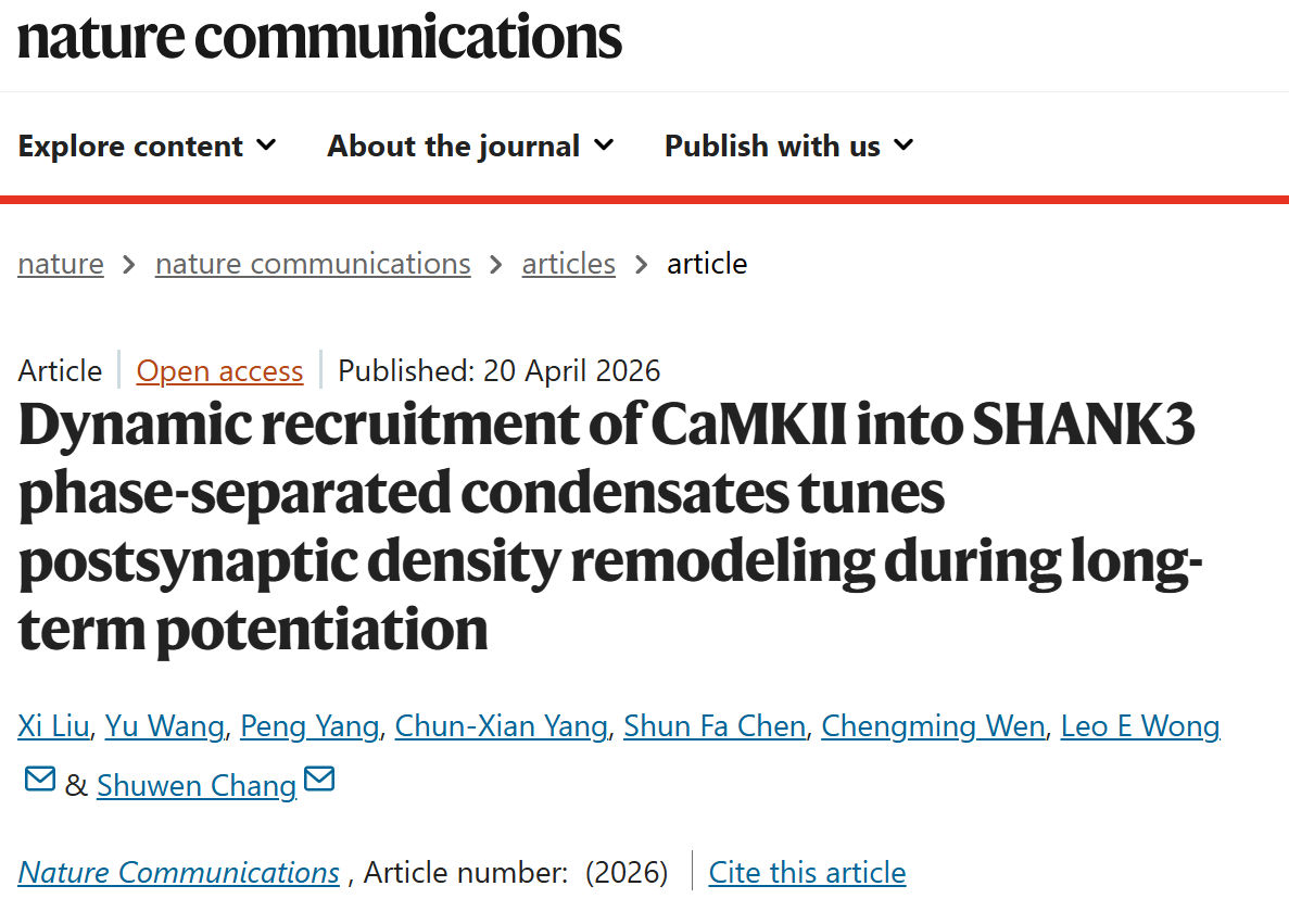 beat365在线体育app