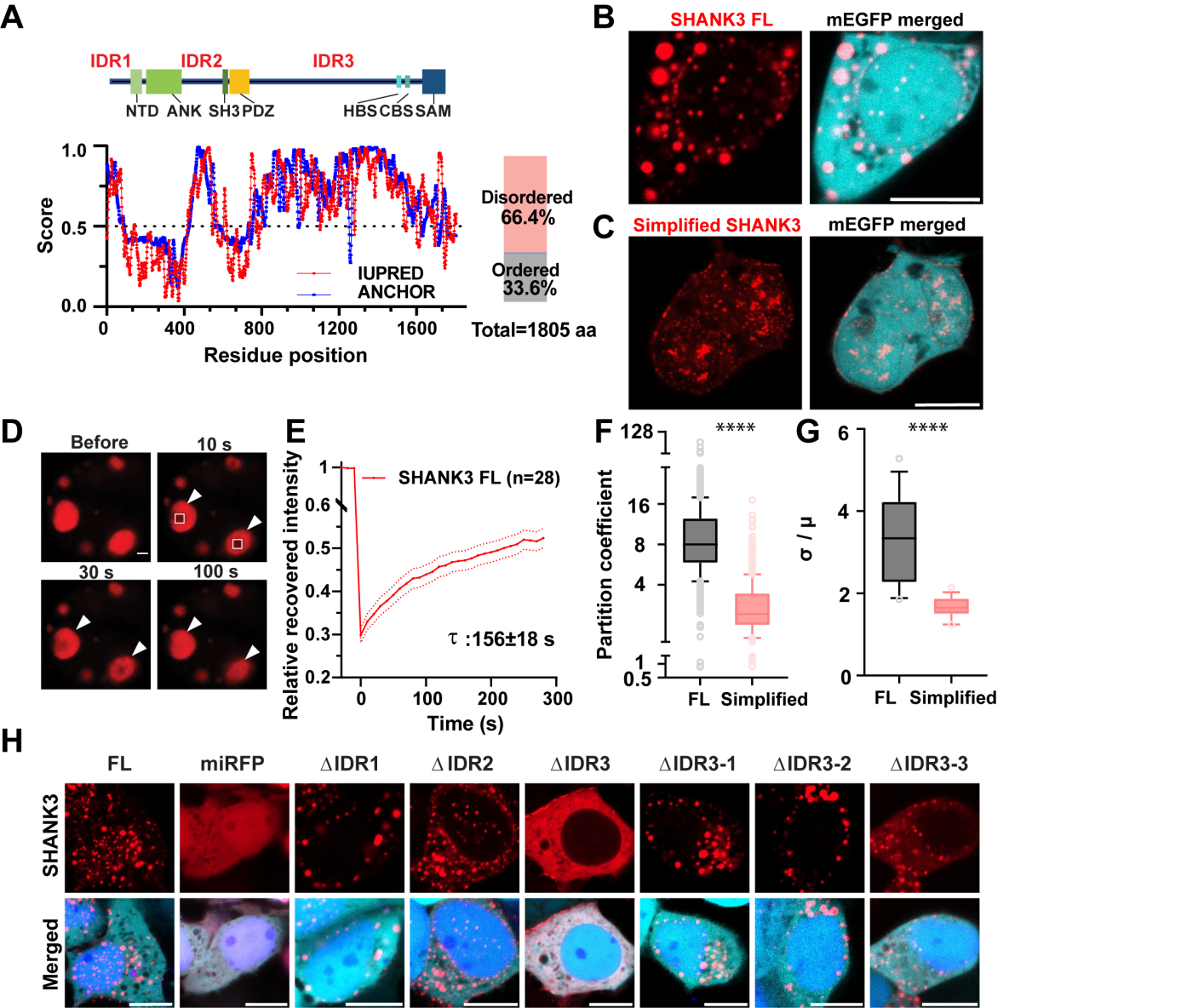 beat365在线体育app